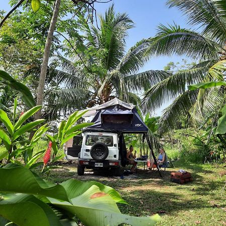 La Munequita Lodge 1 - Culture & Nature Experience Palmar Norte Exterior photo