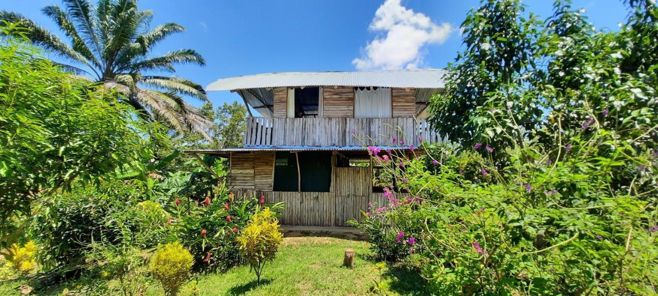 La Munequita Lodge 1 - Culture & Nature Experience Palmar Norte Exterior photo